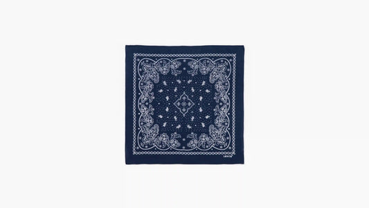 Paisley Bandana