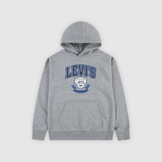 Authentic Prep Hoodie Little Boys 4-7x