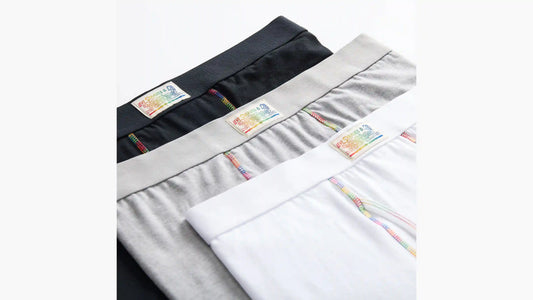 Levi's® Pride Boxer Brief (3 Pack)