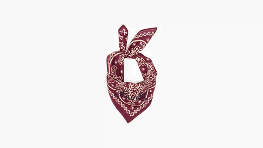 Elevated Paisley Bandana