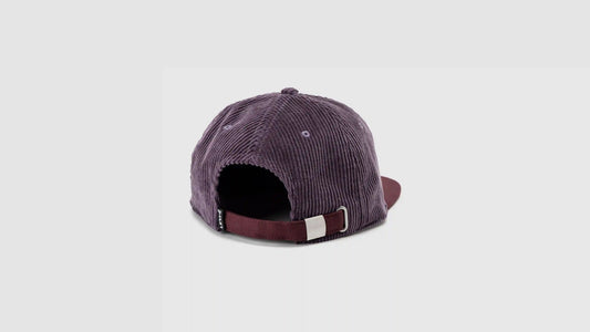 Levi's® Skateboarding™ Cap