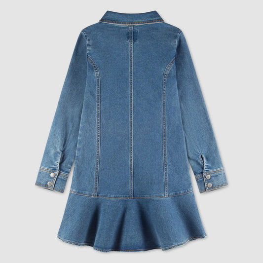 Long Sleeve Button Up Dress Little Girls 4-6X